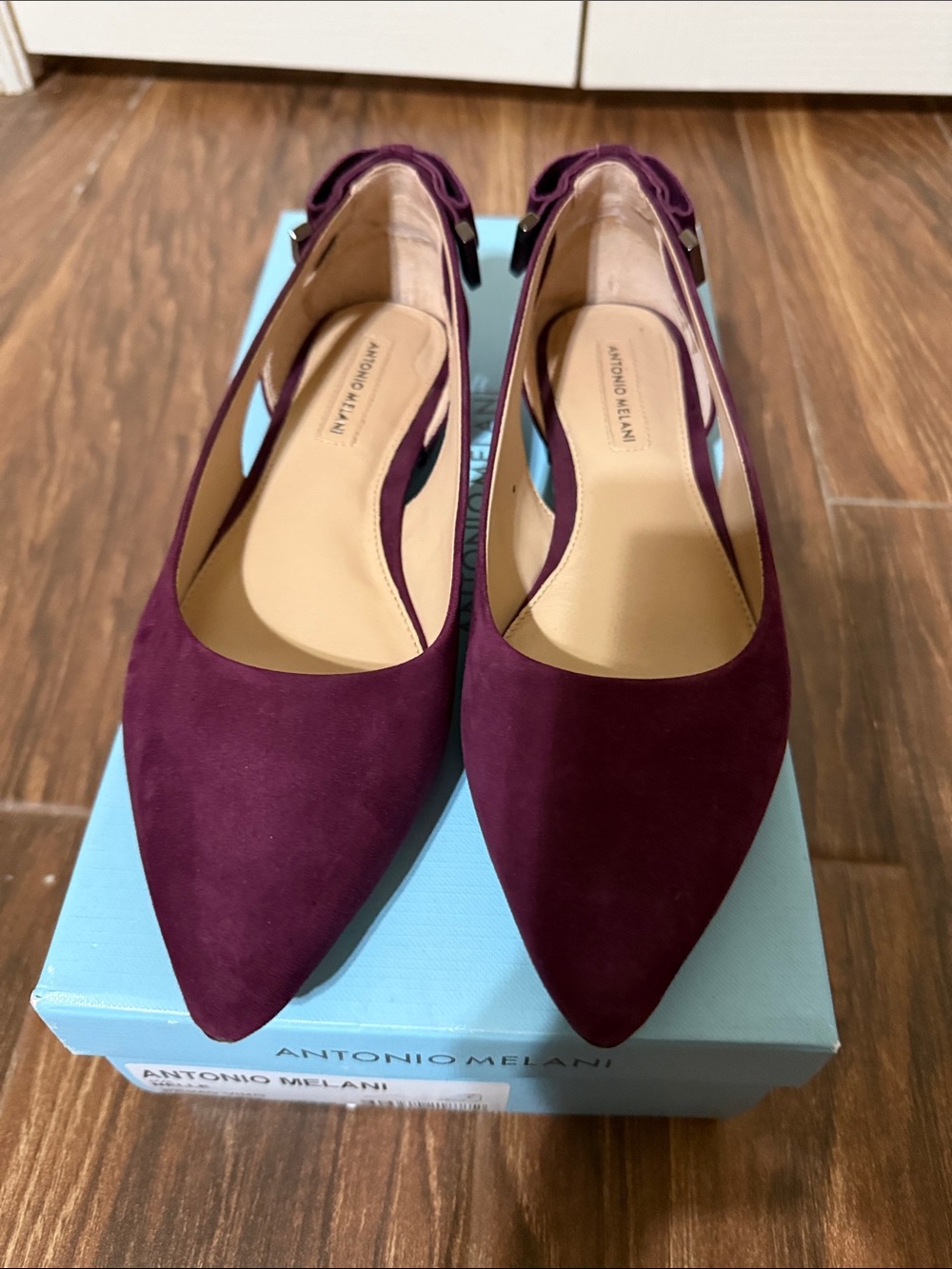 ANTONIO MELANI Plum Suede Pointed Slingback Flats